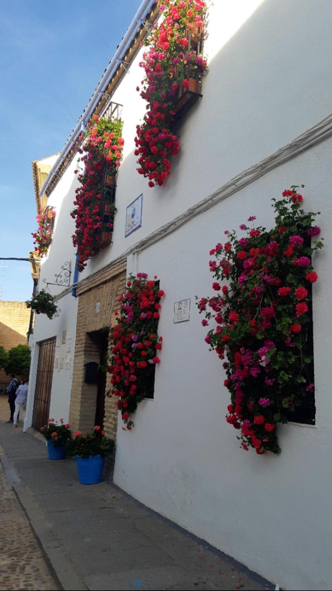 Apartamento en Barrio San Basilio Apartment Kordoba Bagian luar foto